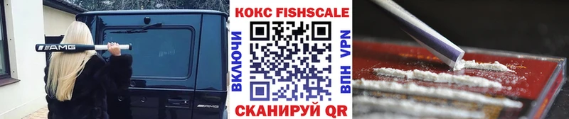 Cocaine FishScale  закладки  Курчатов 
